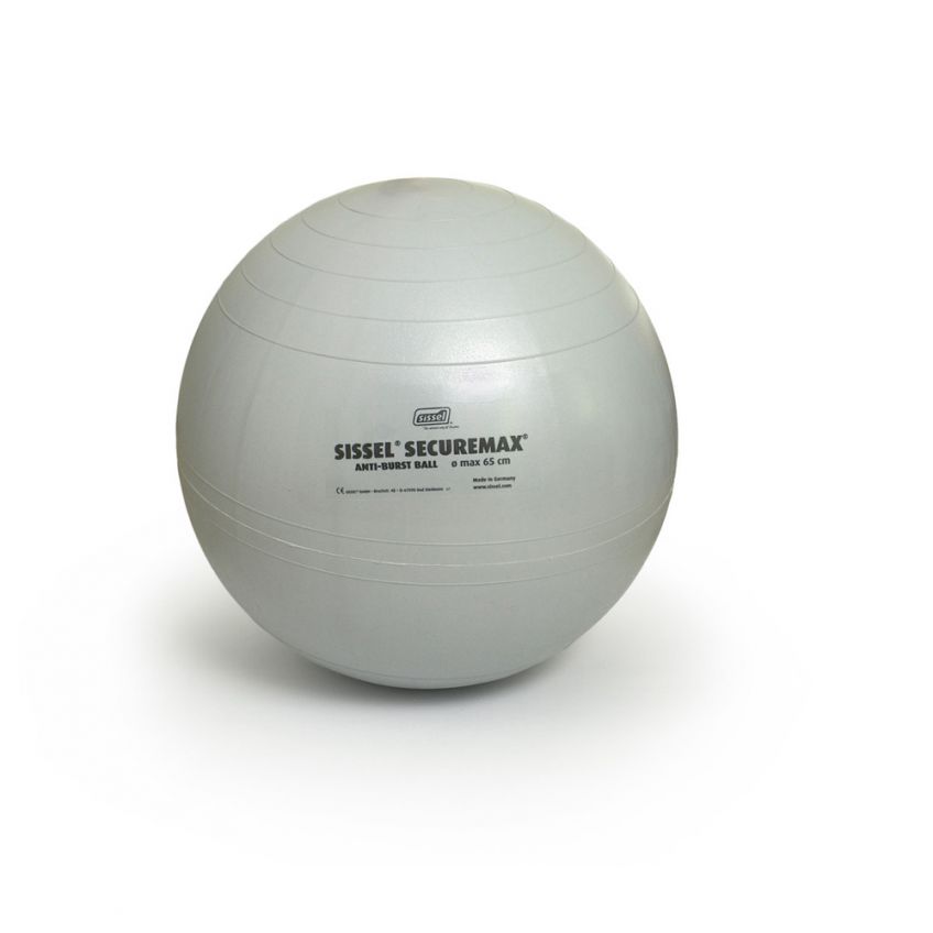 Securemax® Exercise Ball 65 cm - Silver by SISSEL®