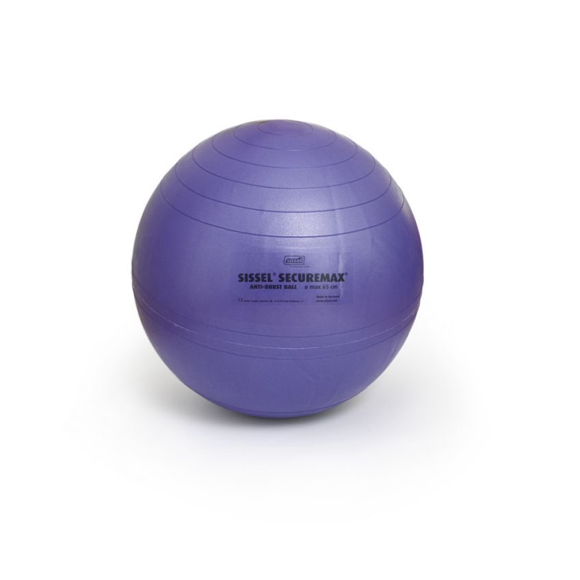 Securemax® Exercise Ball, 55 cm - Blue/Purple by SISSEL®
