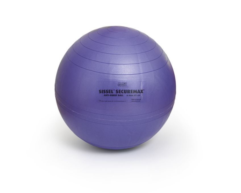 Securemax® Exercise Ball 65 cm - Blue/Purple by SISSEL®