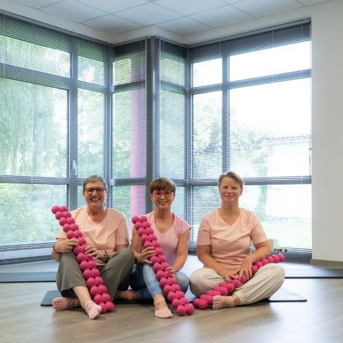 SPINEFITTER® by SISSEL® Pink Hero Edition - Coach Bag - 10 Pack