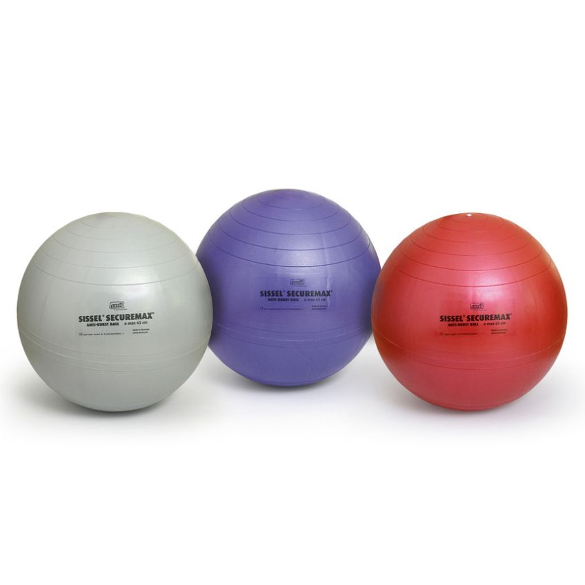 Securemax Exercise Balls by SISSEL®
